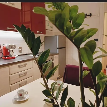 Daire Galleria Sul Mare Trieste